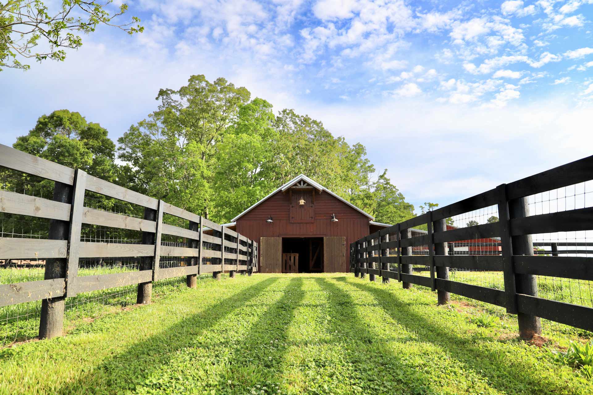 Our Story Piney Woods Farm LaGrange