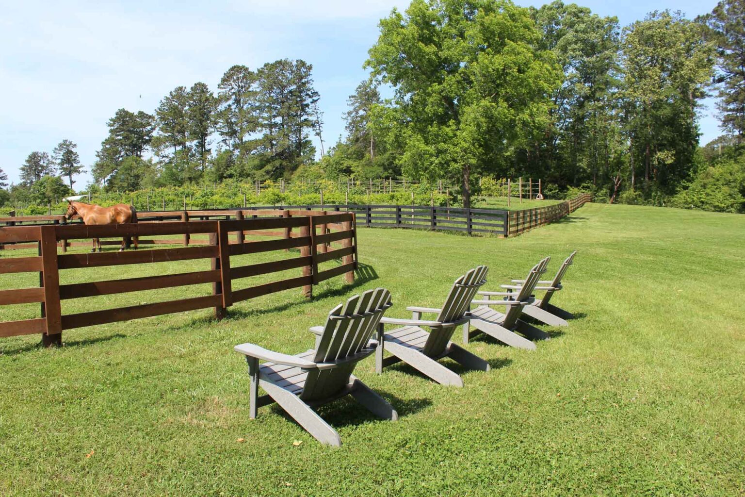 Farm Map Piney Woods Farm LaGrange