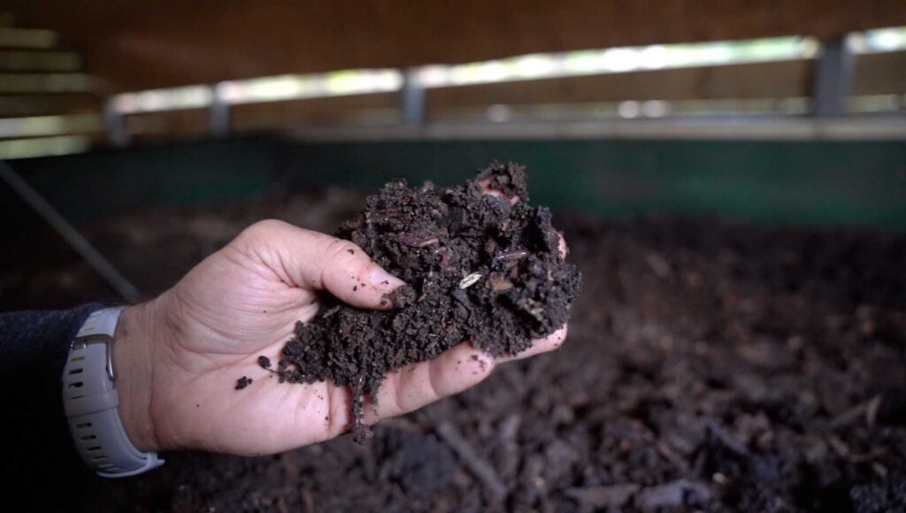 Farm Fertility Center Piney Woods Farm LaGrange