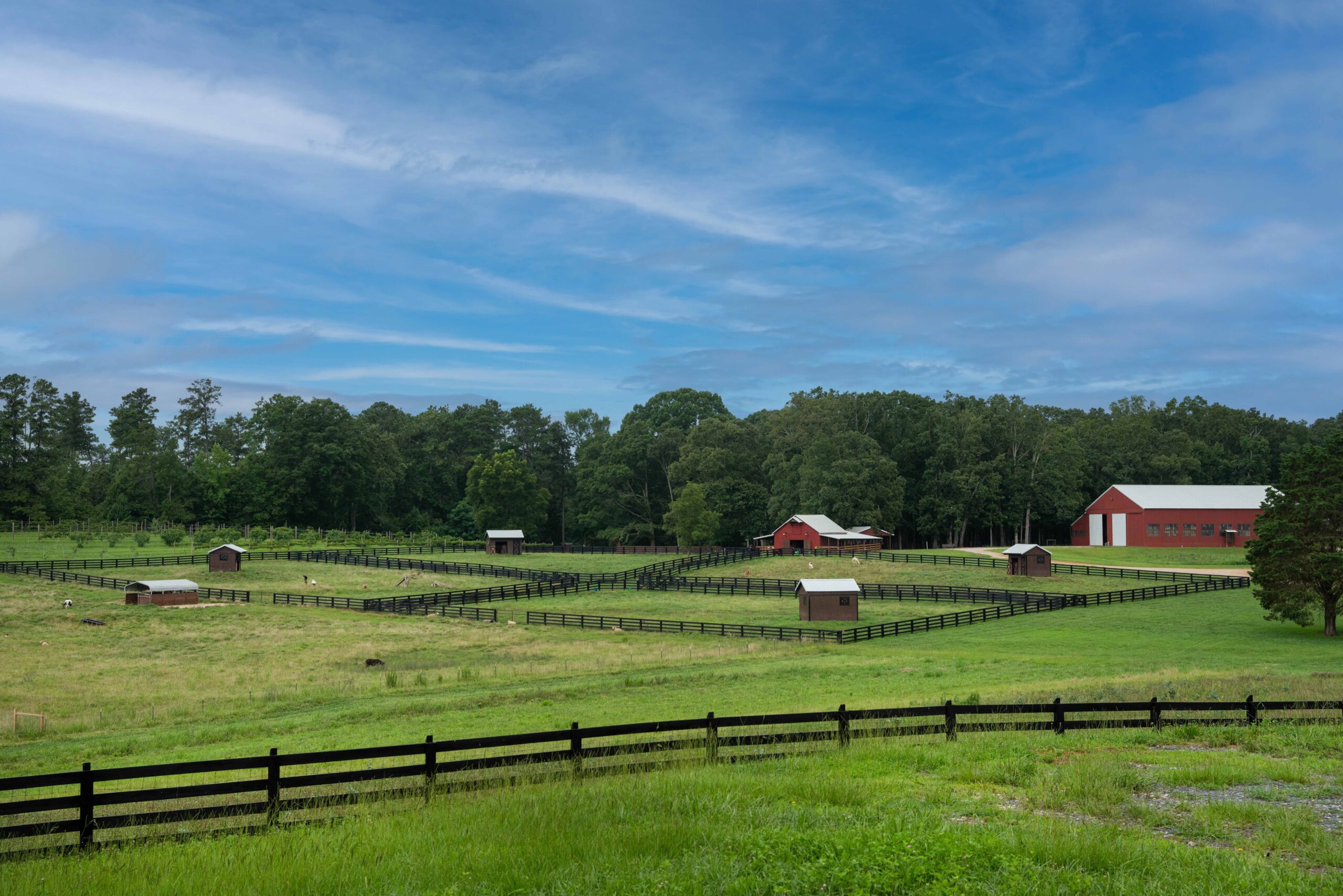 Joanne's Paddocks & Heritage Barn Piney Woods Farm LaGrange