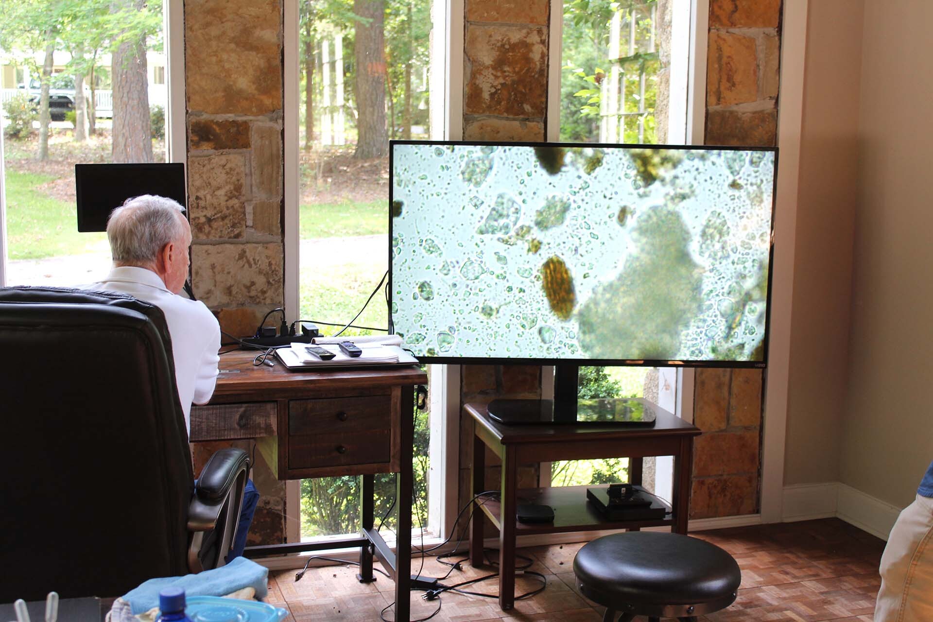 Farm Lab Piney Woods Farm LaGrange