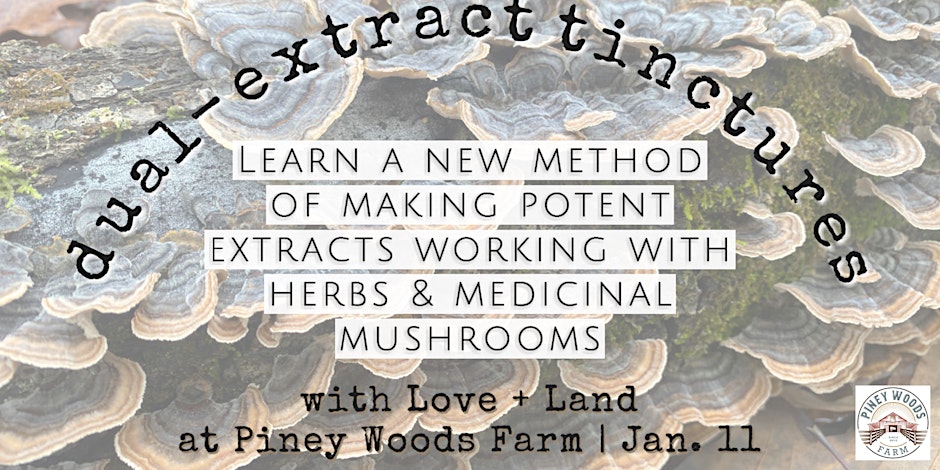 Learn a new method of making potent extracts working with Herbs and Medicinal Mushrooms!