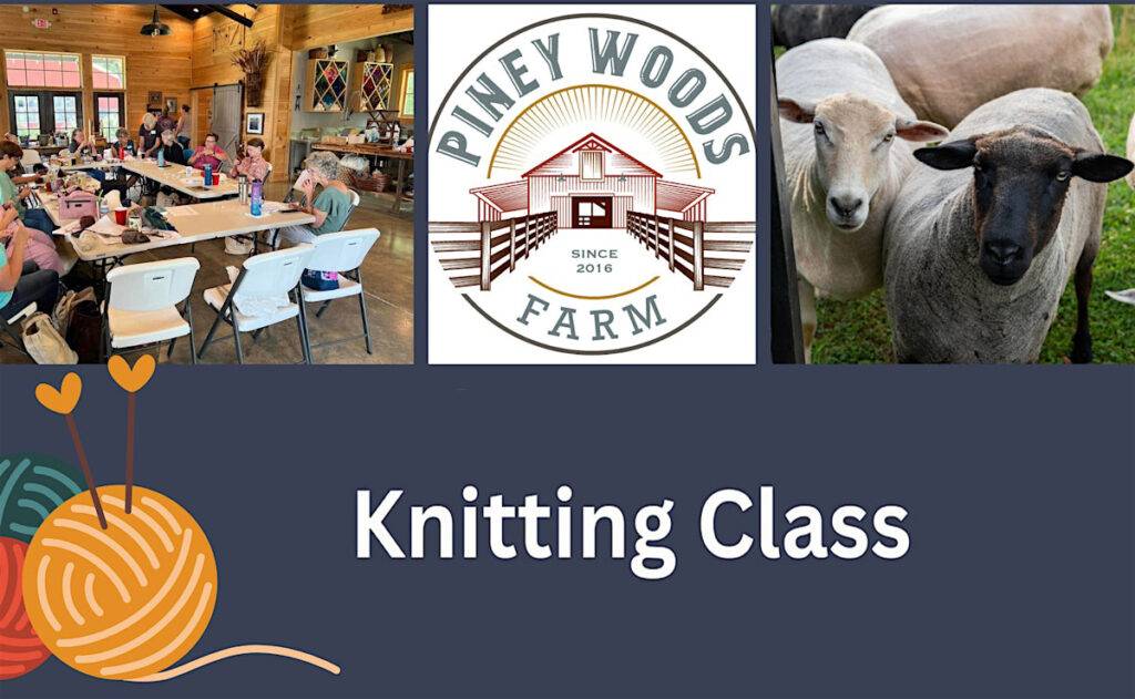 Knitting class at Piney Woods Farm.