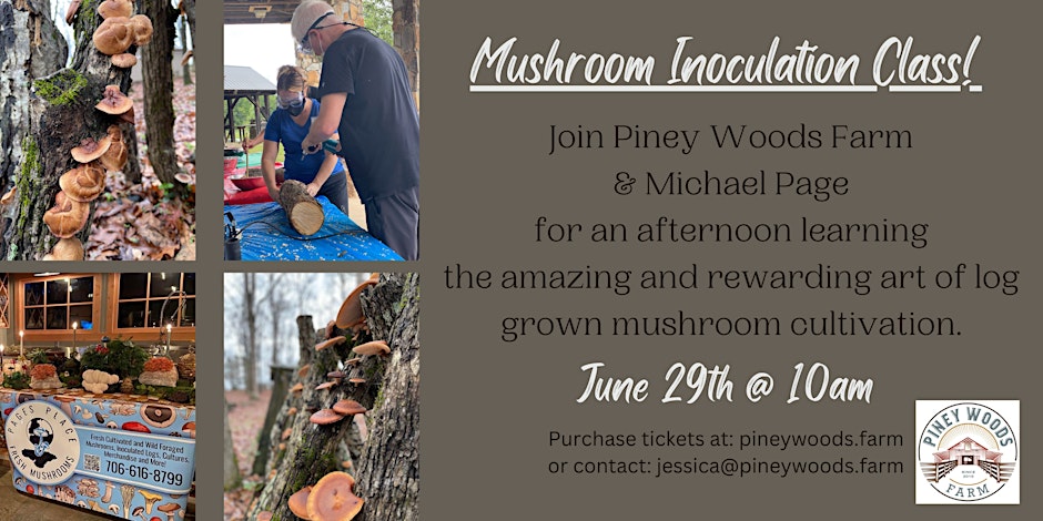 Come join us at Piney Woods Farm for a fun and educational event all about growing your own mushrooms!